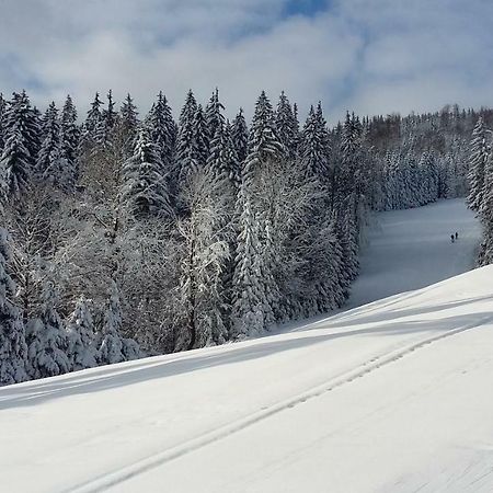 Apartmán Medvědín 109 Špindlerŭv Mlýn Esterno foto